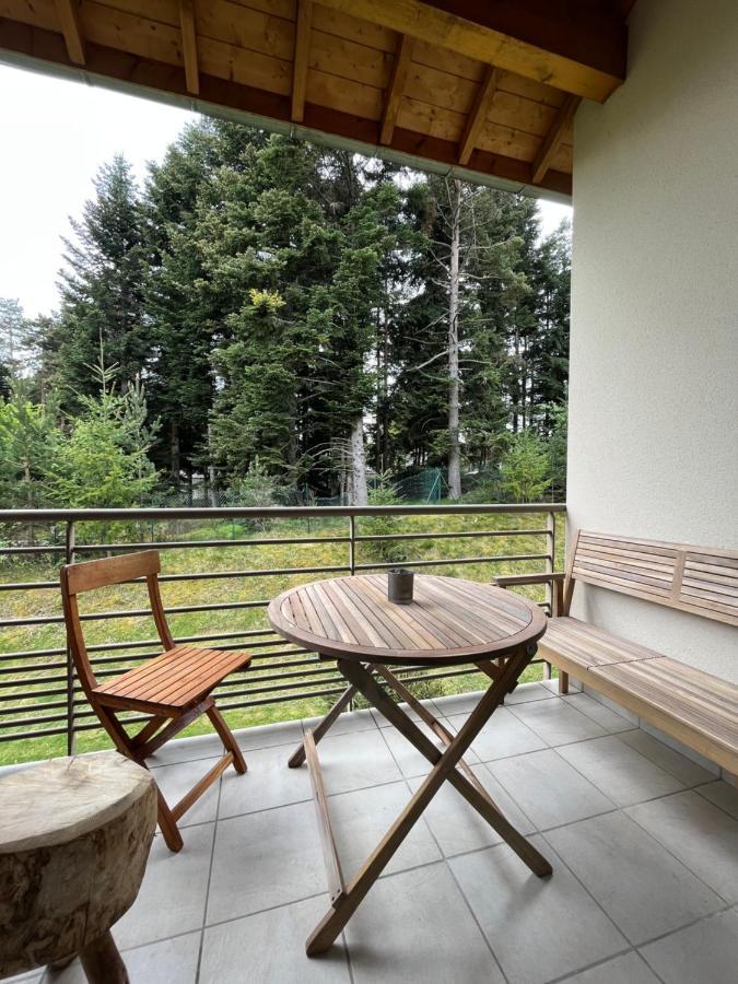 דירות לה שמבון-סור-ליניון "Les Oiseaux" Avec Terrasse, Parking, Duplex מראה חיצוני תמונה